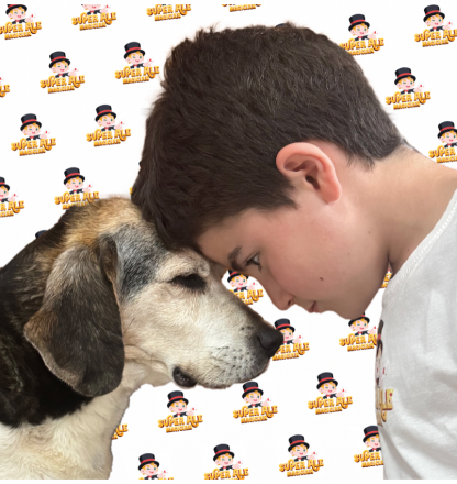 Al centro talenti village arriva la prima tappa di pet camper tour giubileo edition con polizia, carabinieri, anas e tanti ospiti